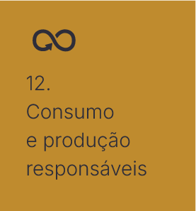 Consumo e produção sustentáveis