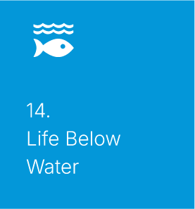 Life below water