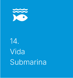Vida submarina