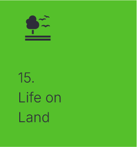 Life on land