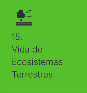 vida de ecosistemas terrestres