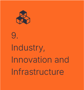 industry innovation and infrastruture